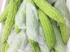 苦瓜