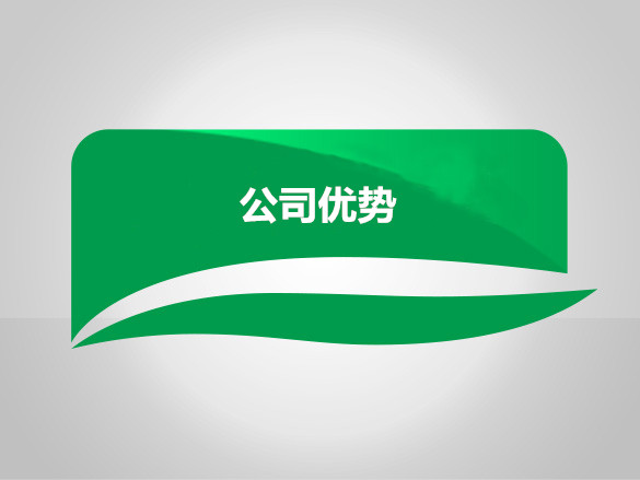公司优势